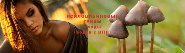 герыч Алексин